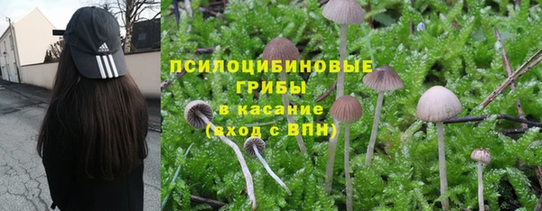 спиды Белоозёрский