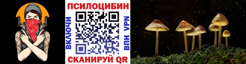 Псилоцибиновые грибы GOLDEN TEACHER  Володарск 